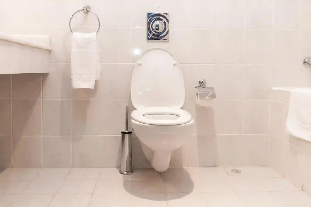 Verstopfte Toilette durch Profis beseitigen lassen – Schnelle Hilfe in Salzgitter